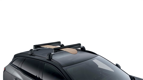 ski and snowboard rack - accessories- Renault Austral E-Tech full hybrid